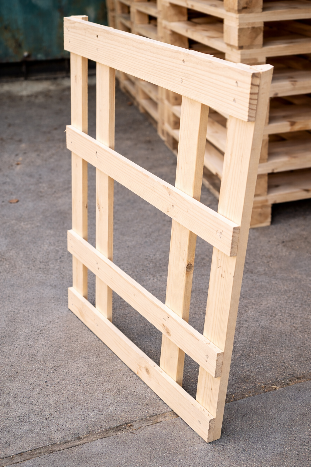 Rėmas 1200x800 mm #PL-354