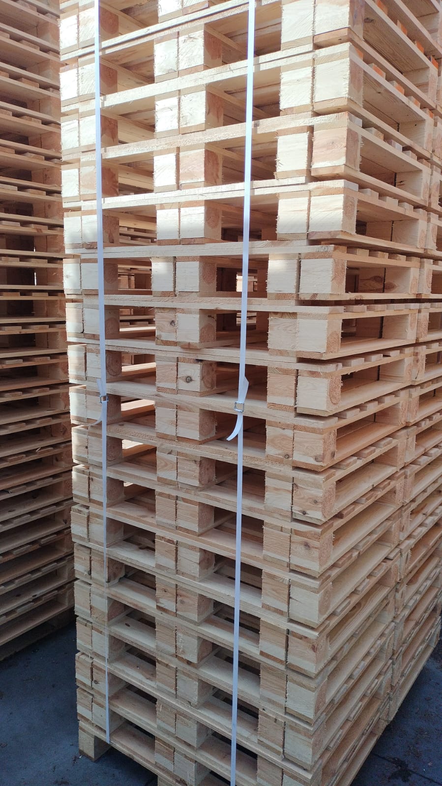 Padėklas 800x600 mm #PL-99